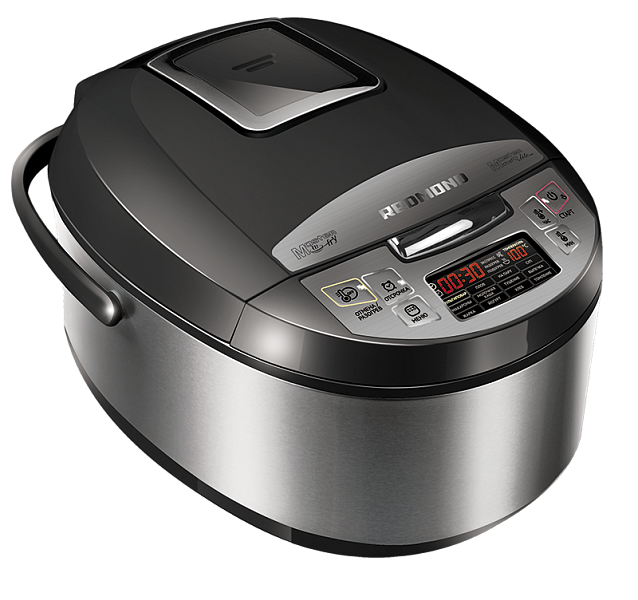 REDMOND MasterFry FM4521