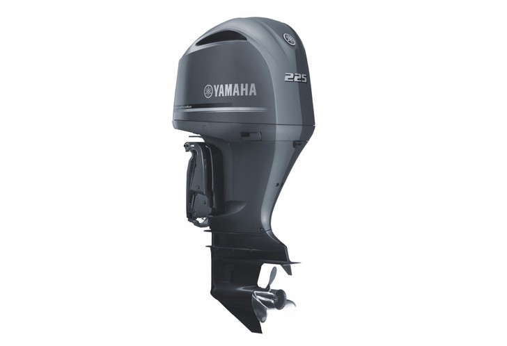 Yamaha FL225 FETX