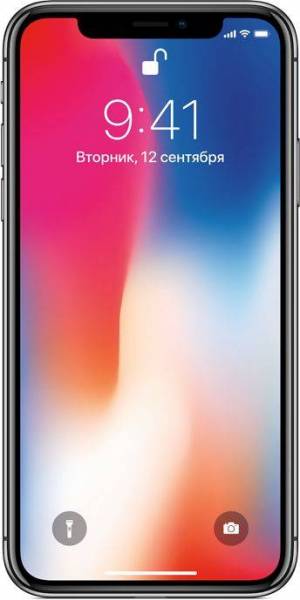 Смартфон Apple iPhone X 256GB серый космос в кредит купить